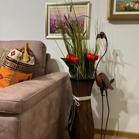 Apartament Tsarevets View *